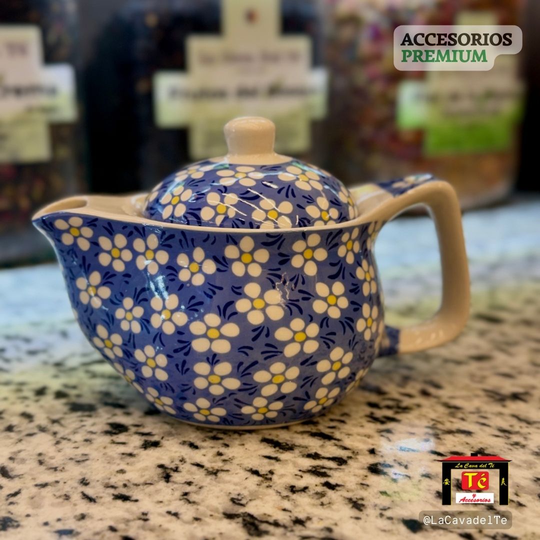 Tetera pequeña de cerámica con infusor y diseño floral azul