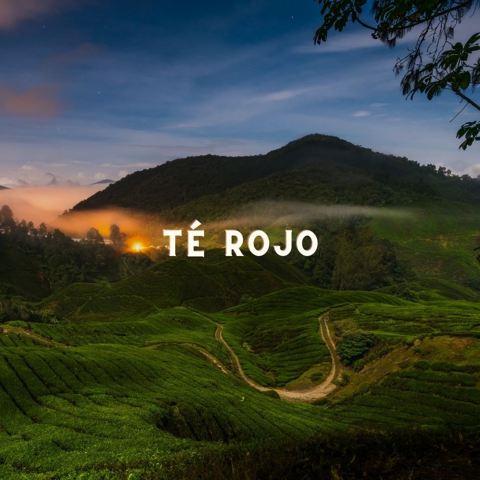 Taza de Devorador de Grasa infusión tropical sin cafeína moderada cuerpo intenso