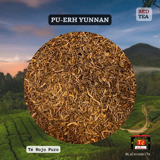 Pu-Erh Yunn