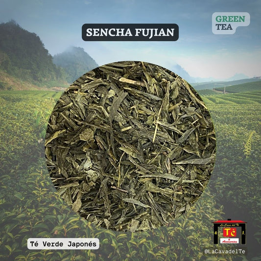 Sencha Fujian