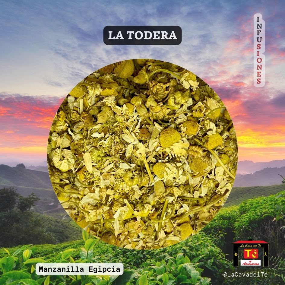 Manzanilla Egipcia flores secas infusión sin cafeína La Cava del Té