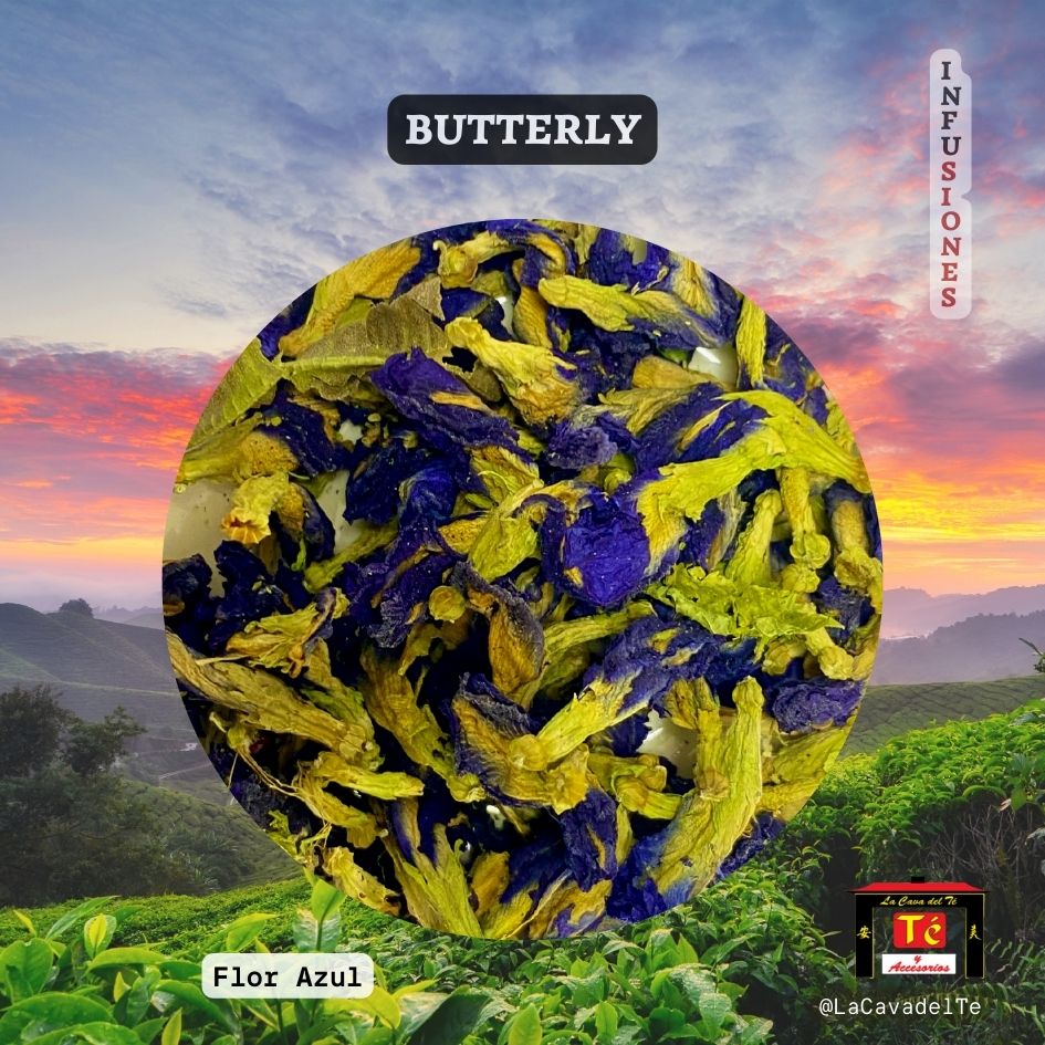 Butterfly flor azul Clitoria ternatea infusión sin cafeína