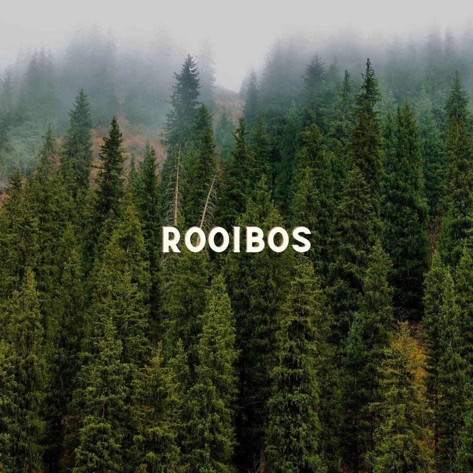 Pasión Vainilla – Infusión Exótica Rooibos Sin Cafeína - La Cava del Té