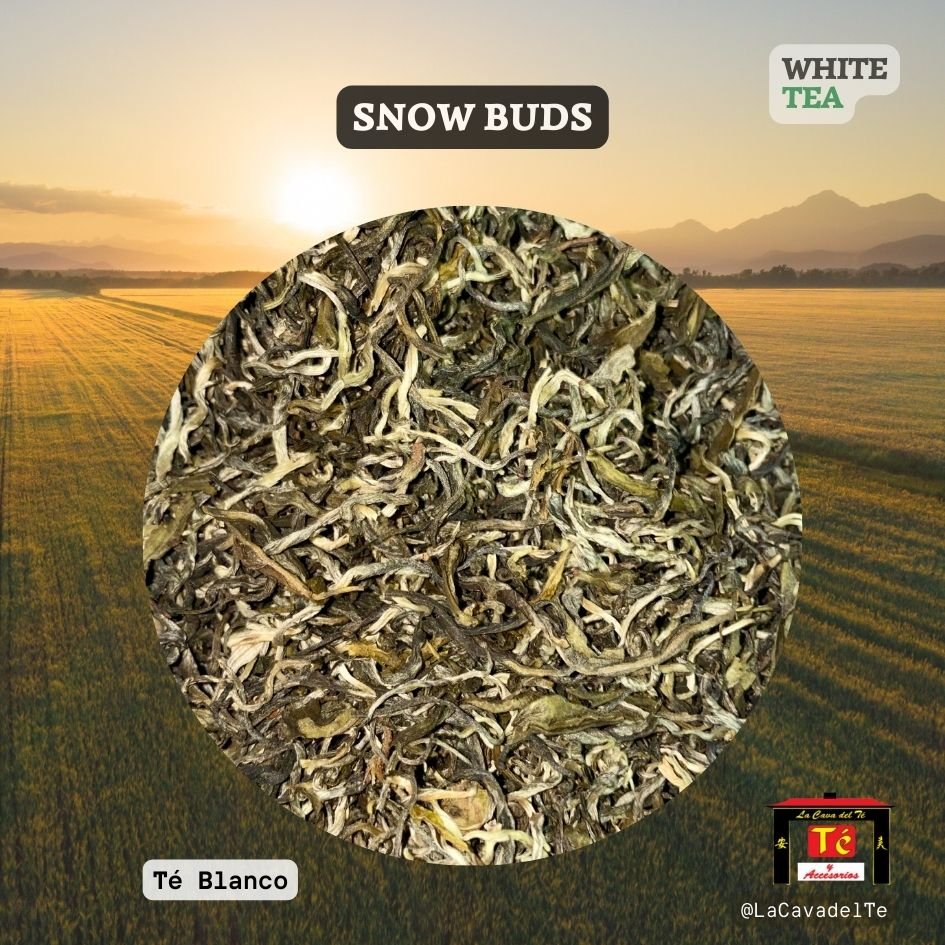 Té Blanco Puro Snow Buds hojas sueltas premium