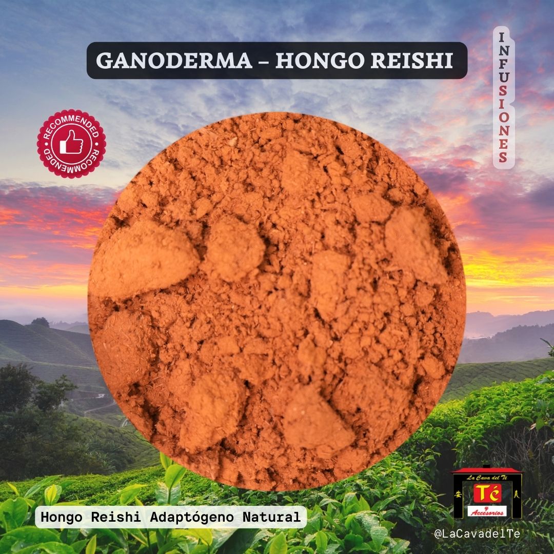 Ganoderma (Reishi) – Hongo Adaptógeno Natural Premium - La Cava del Té