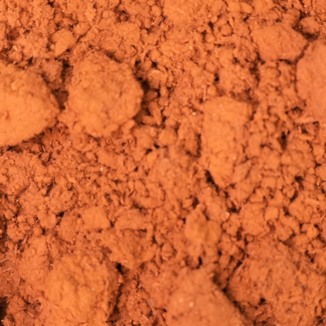 Ganoderma (Reishi) – Hongo Adaptógeno Natural Premium - La Cava del Té