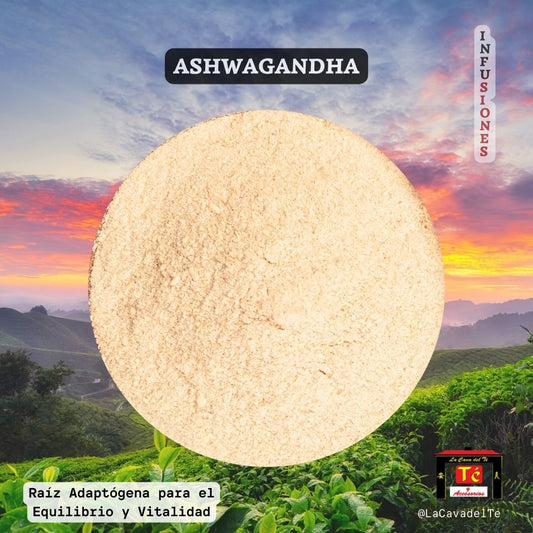 Ashwagandha – Raíz Adaptógena Natural de Equilibrio - La Cava del Té