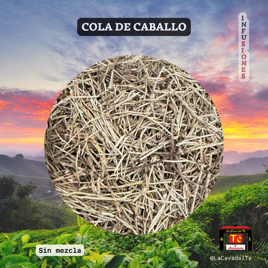 Infusión Cola de Caballo hojas sueltas natural La Cava del Té