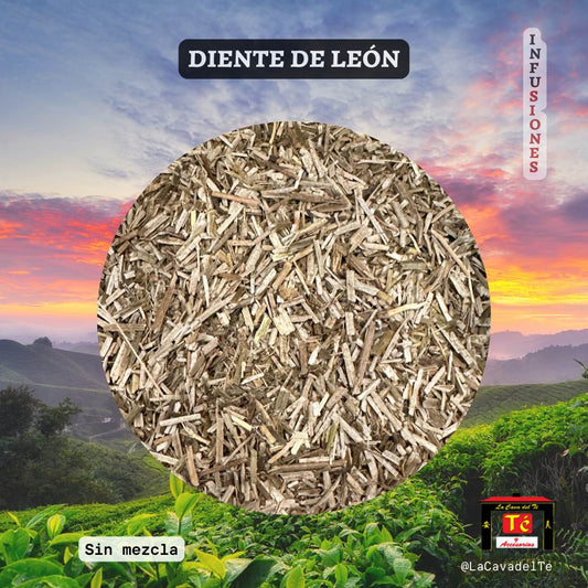 Infusión Pura de Diente de León