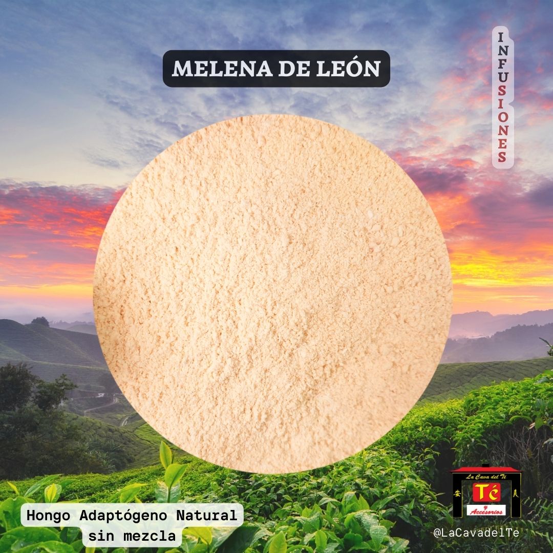 Melena de León – Hongo Adaptógeno Natural - La Cava del Té