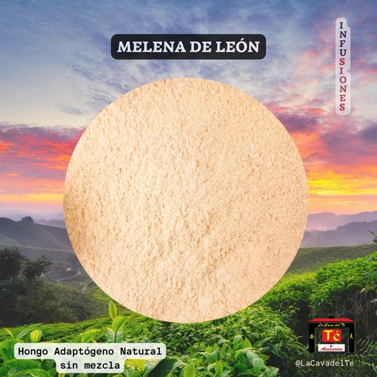 Melena de León – Hongo Adaptógeno Natural - La Cava del Té